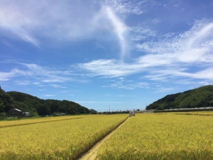 画像(435x326)・拡大画像(640x480)