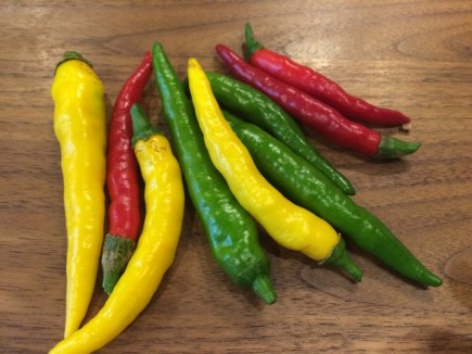 画像(435x326)・拡大画像(640x480)