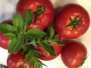 画像(300x225)・拡大画像(640x480)