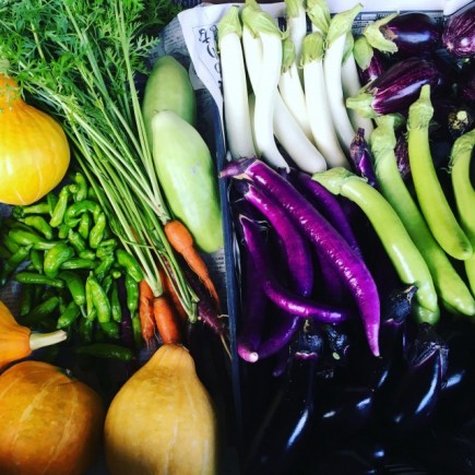 画像(435x435)・拡大画像(640x640)