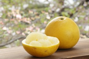 画像(300x199)・拡大画像(640x426)