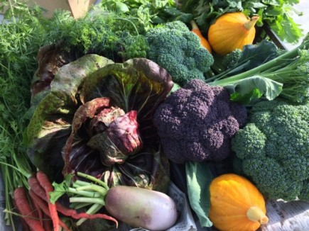 画像(435x326)・拡大画像(640x480)